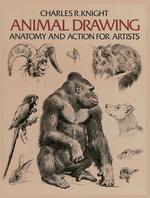 Animal Drawing: Anatomy and Action for Artists by Charles Knight - Alibris