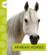 The Ultimate Guide to the Appaloosa horse - Listenology by Elaine Heney