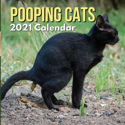 Pooping Cats Calendar 2021: Funny Animal Gag Joke by Ellon Summers | ISBN:  9798561652882 - Alibris