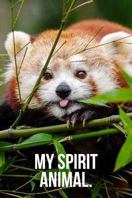 My Spirit Animal: Red Panda Journal by Golding Notebooks - Alibris